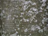 image of grave number 949512